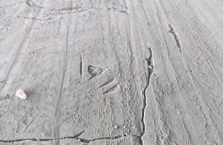 水泥地面防潮方法 雨天再也不怕潮濕，兼談建筑砌塊銷售的選擇
